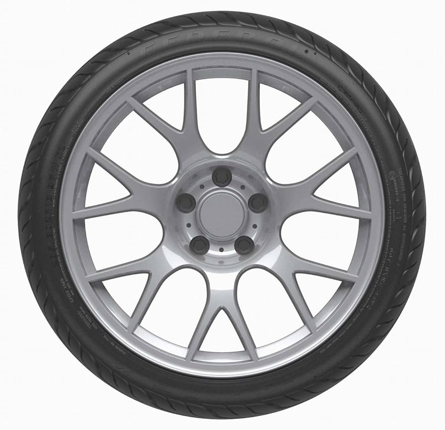 Amazon.co.jp: フェデラル(FEDERAL) 2本セット 595RS-R 255